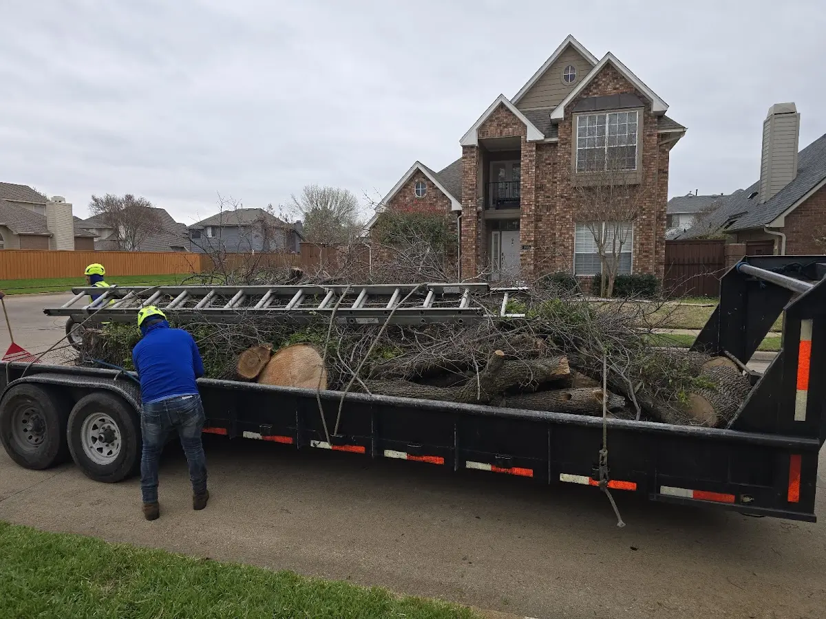 Expert Tree Fertilization with proper safety equipment in Jenkins